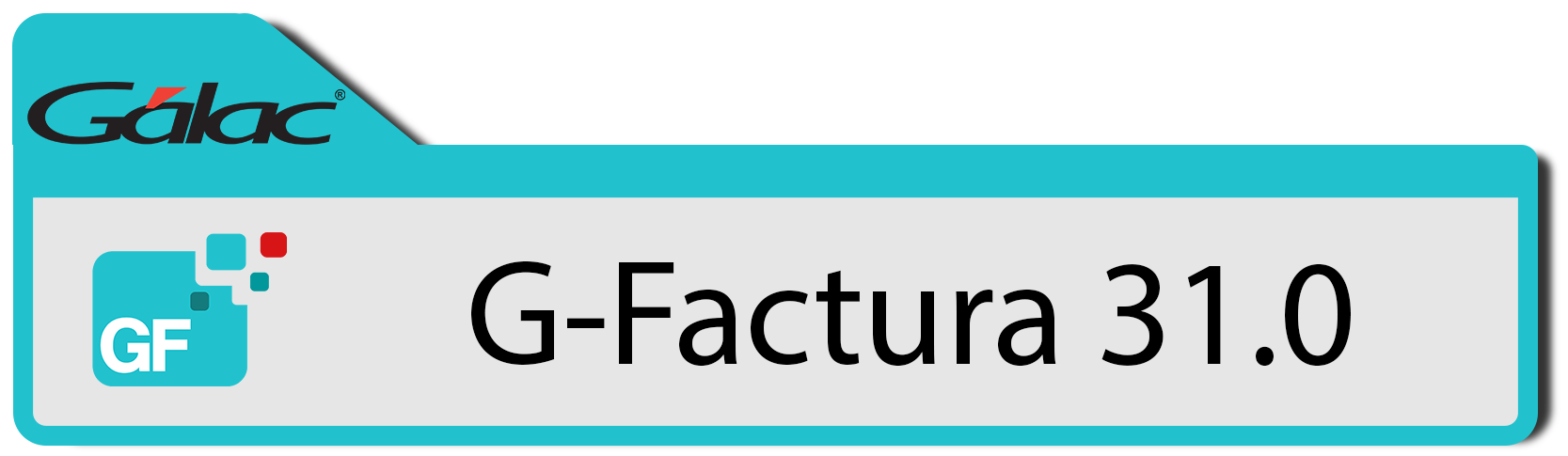 sistema-de-facturacion-y-cobro-emision-mixta-version-31-0-sistema-contable-para-empresas-homologado-ve